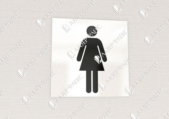 табличка на дверь женского туалета из алюминия